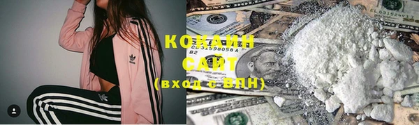 шишки Алексин